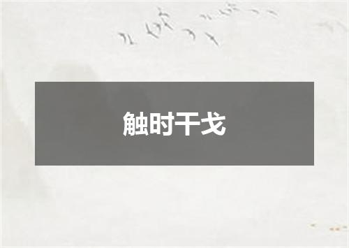 触时干戈