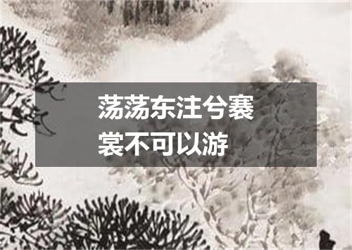 荡荡东注兮褰裳不可以游
