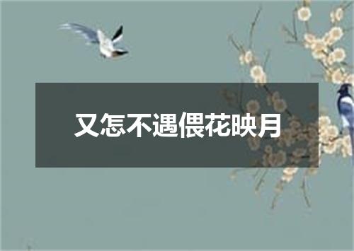 又怎不遇偎花映月