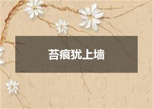 苔痕犹上墙