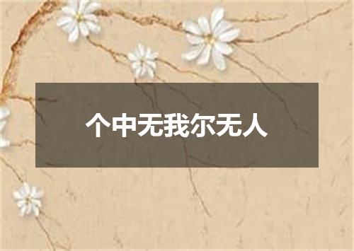 个中无我尔无人