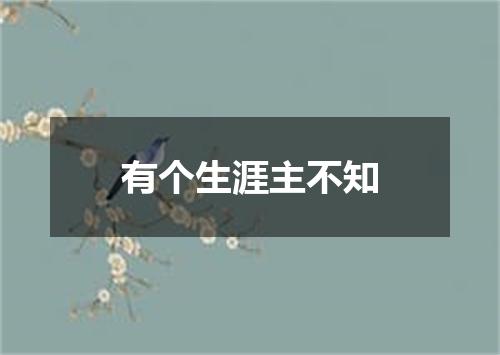 有个生涯主不知