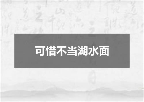可惜不当湖水面