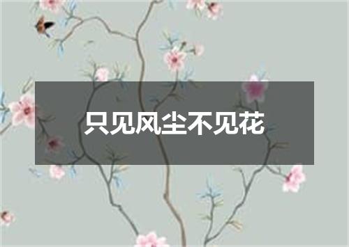 只见风尘不见花