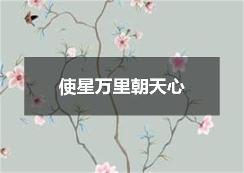 使星万里朝天心