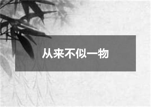 从来不似一物