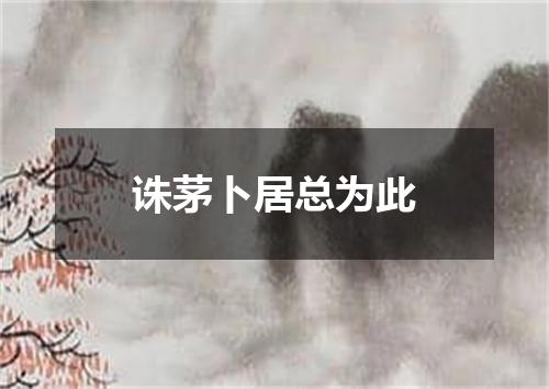 诛茅卜居总为此