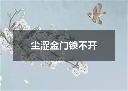 尘涩金门锁不开
