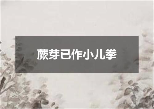 蕨芽已作小儿拳