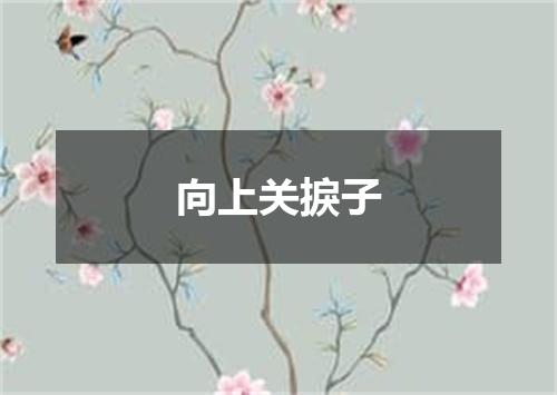 向上关捩子