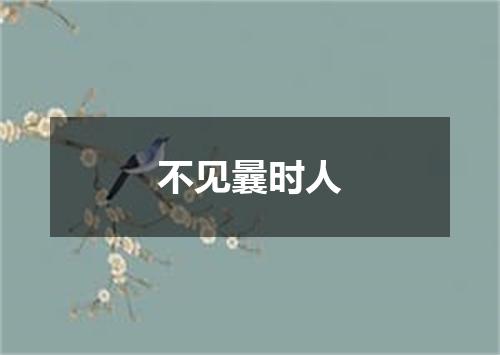 不见曩时人
