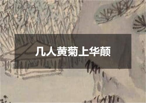 几人黄菊上华颠