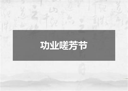 功业嗟芳节
