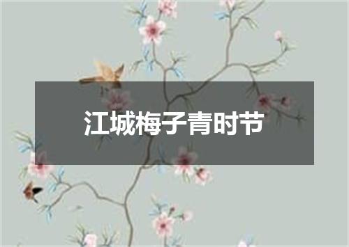 江城梅子青时节