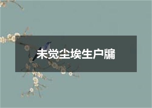 未觉尘埃生户牖