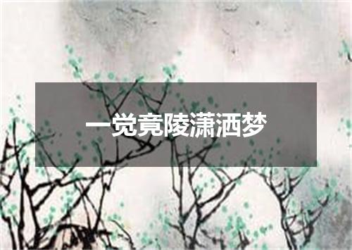 一觉竟陵潇洒梦