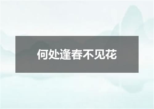何处逢春不见花