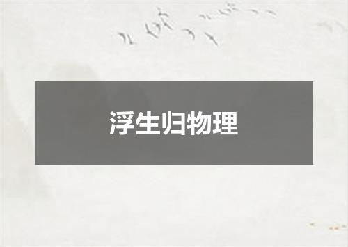 浮生归物理