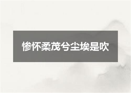 惨怀柔茂兮尘埃是吹