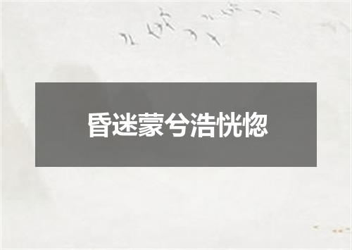 昏迷蒙兮浩恍惚