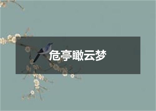 危亭瞰云梦