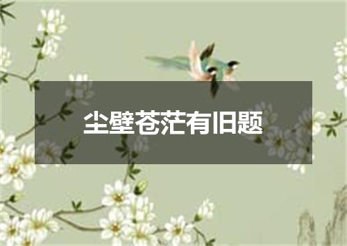 尘壁苍茫有旧题