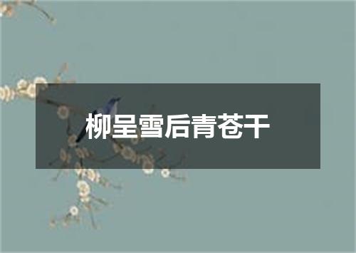 柳呈雪后青苍干