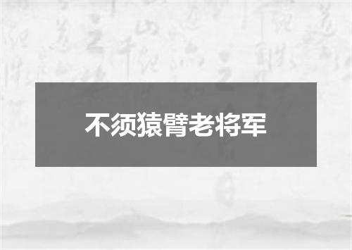 不须猿臂老将军