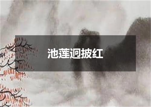 池莲迥披红