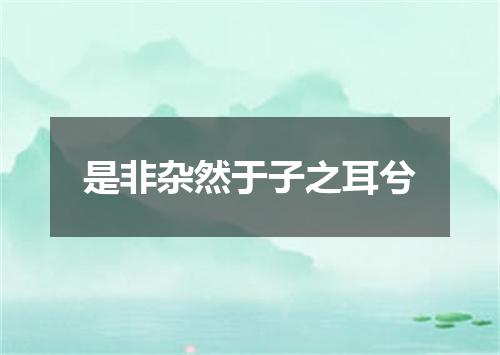 是非杂然于子之耳兮