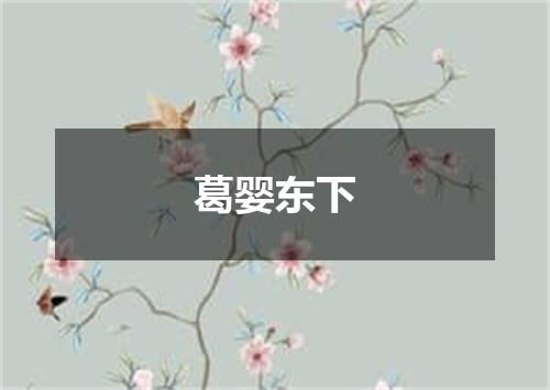 葛婴东下