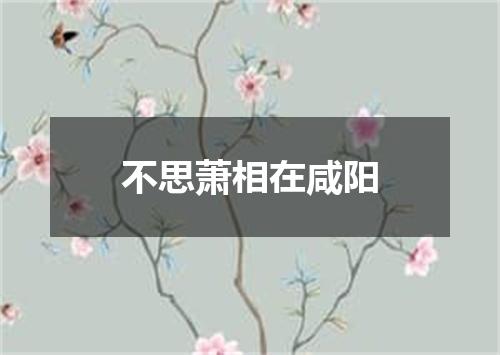 不思萧相在咸阳