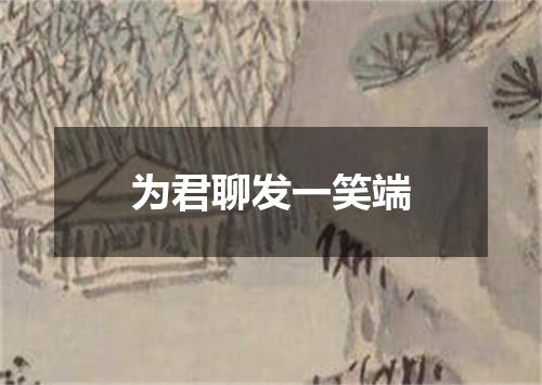 为君聊发一笑端