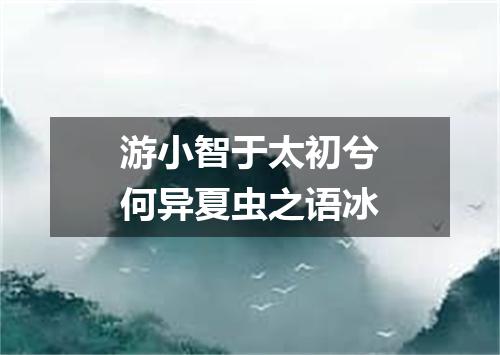 游小智于太初兮何异夏虫之语冰