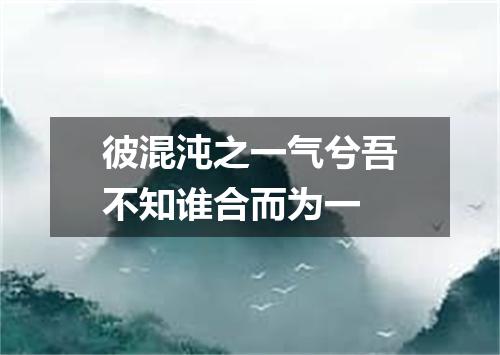 彼混沌之一气兮吾不知谁合而为一
