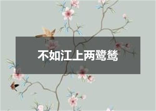 不如江上两鹭鸶