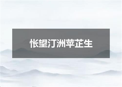 怅望汀洲苹芷生