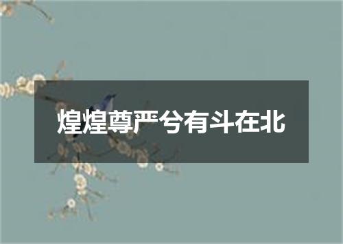 煌煌尊严兮有斗在北
