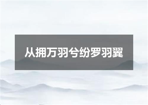 从拥万羽兮纷罗羽翼