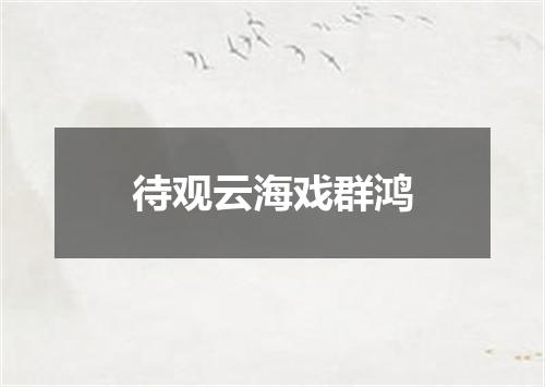 待观云海戏群鸿