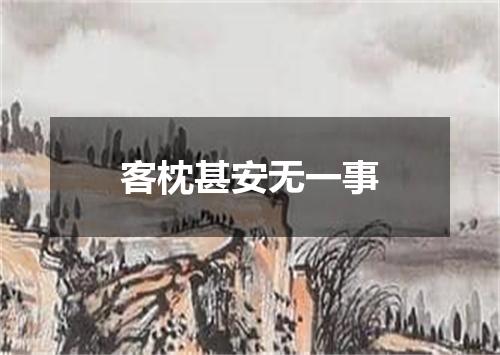 客枕甚安无一事