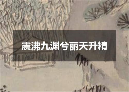 震沸九渊兮丽天升精