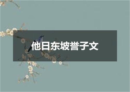 他日东坡誉子文
