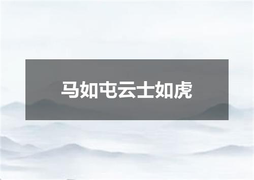 马如屯云士如虎