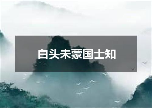 白头未蒙国士知