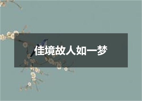 佳境故人如一梦