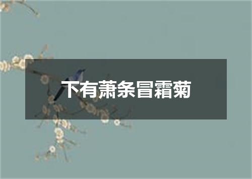 下有萧条冒霜菊
