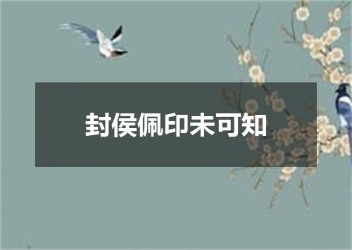 封侯佩印未可知