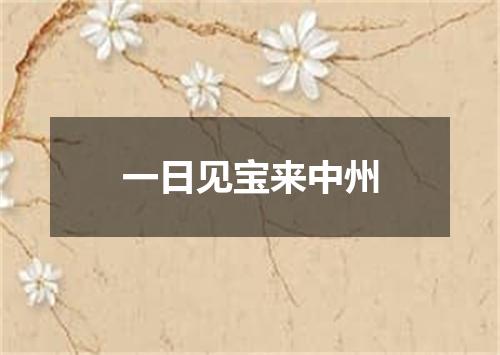 一日见宝来中州