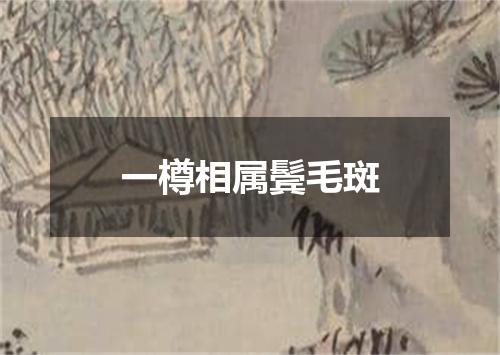 一樽相属鬓毛斑